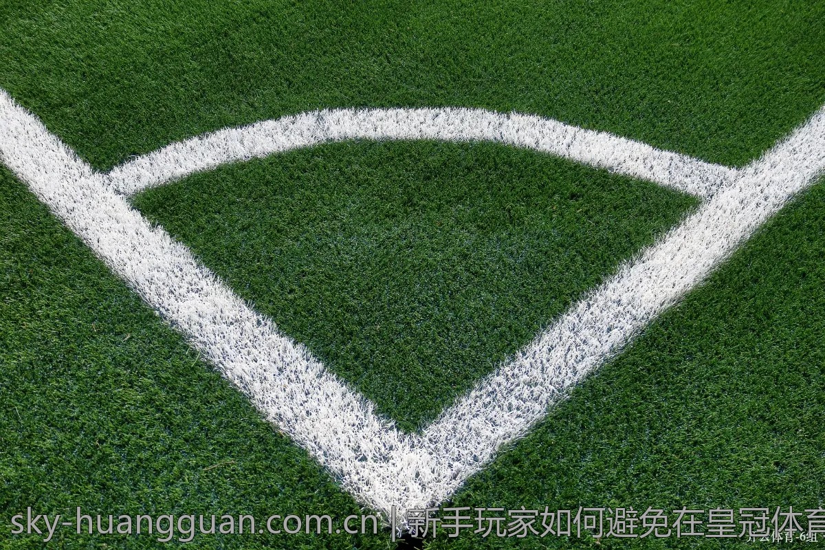 新手玩家如何避免在皇冠体育中踩坑？
