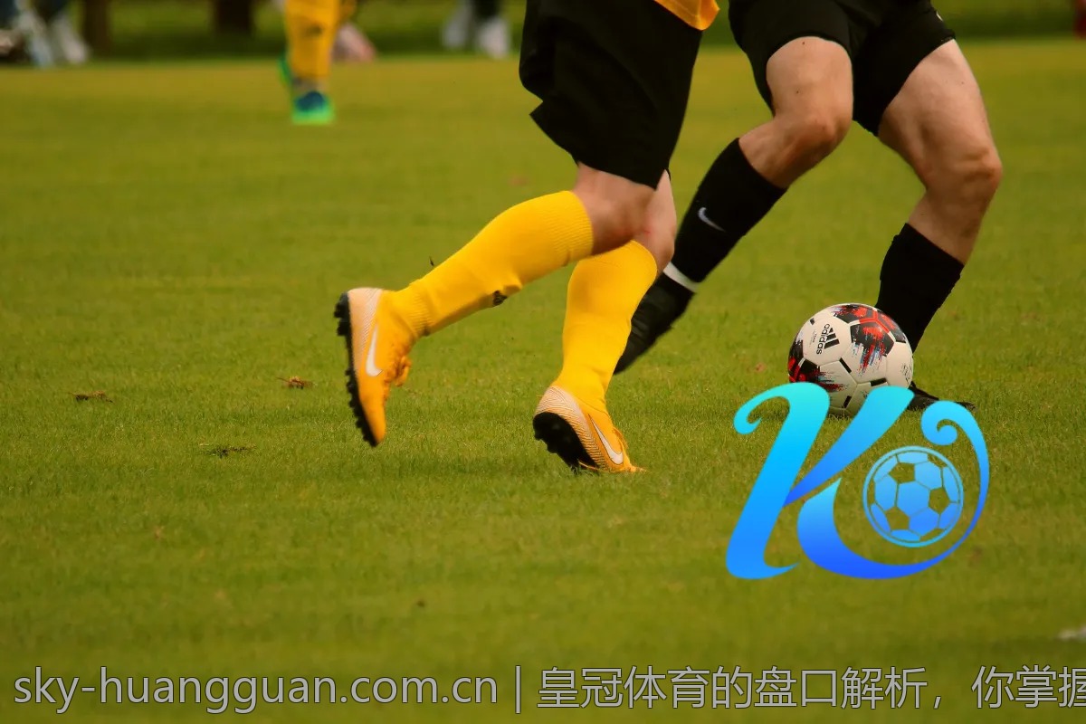 皇冠体育的盘口解析，你掌握了吗？