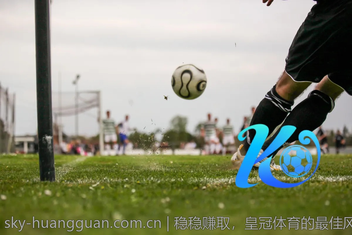 关于皇冠体育的那些事儿：新手常见问题解答